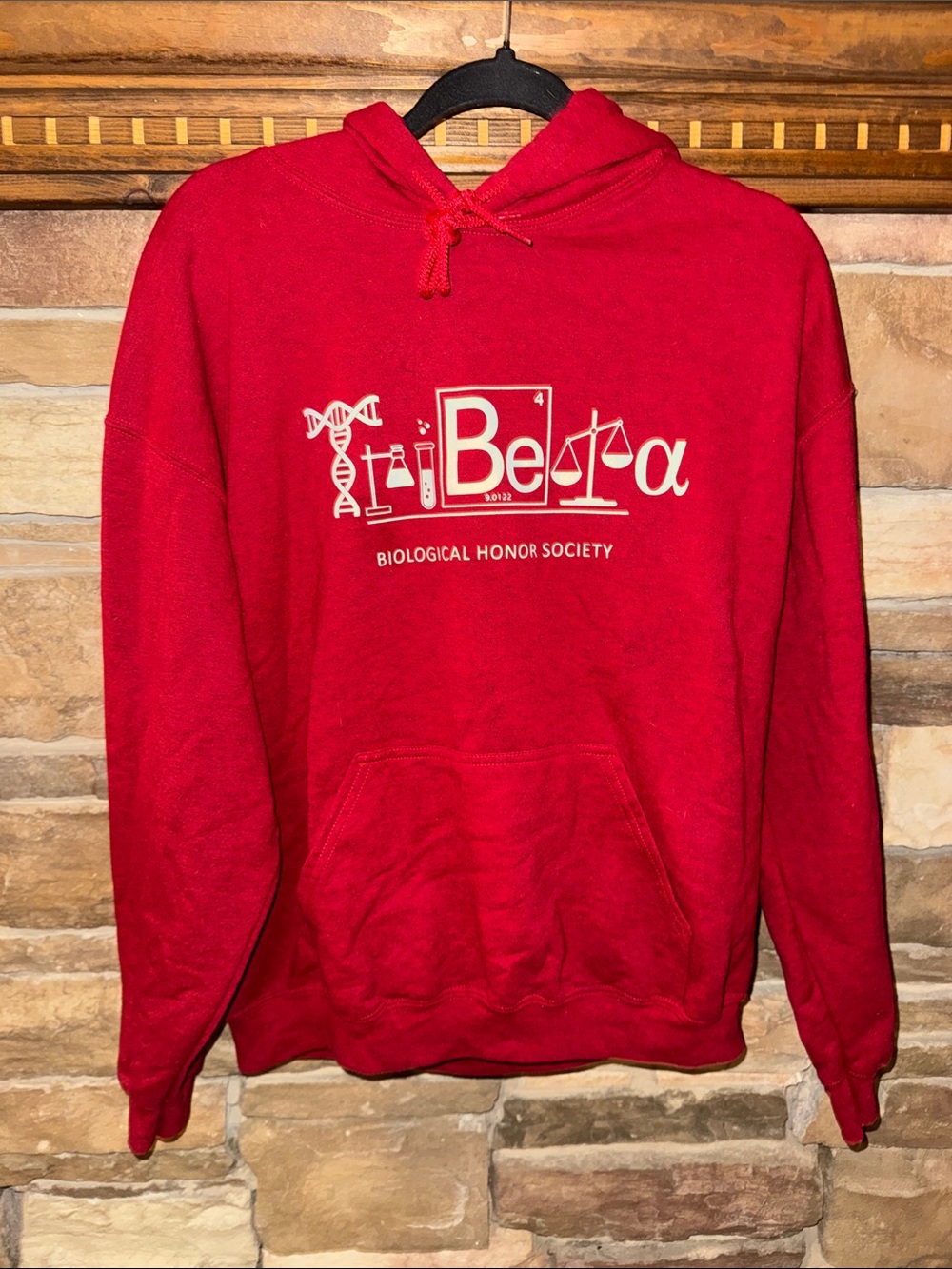 Gildan Red Hoodie with TriBeta Biological Honor Society Graphic